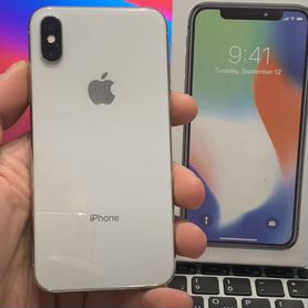 iPhone X, 256 ГБ