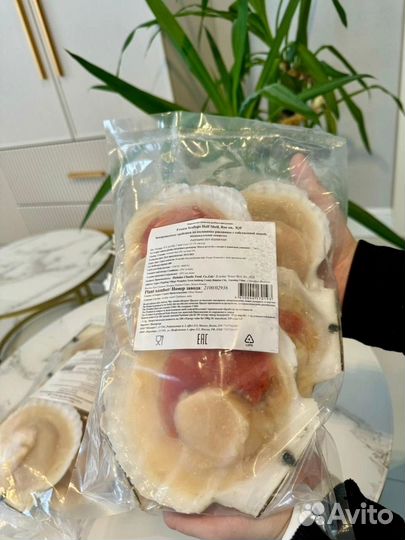 Морской гребешок
