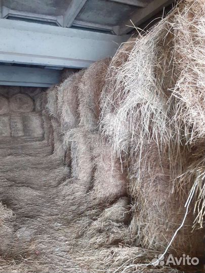 Сено солома в рулонах