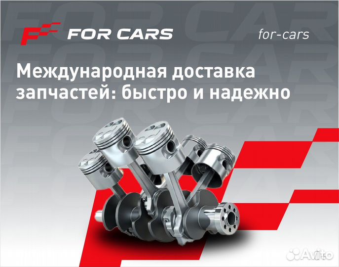 Spark plug fixe 10835