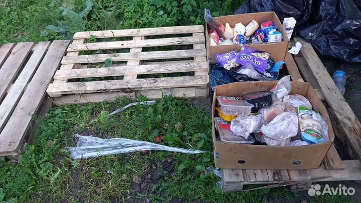 Корм для животных