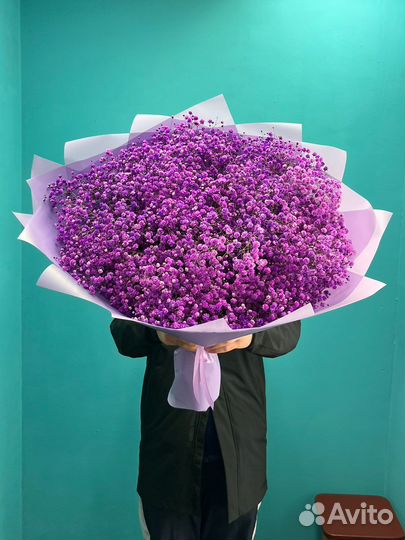 Гипсофилы / Цветы