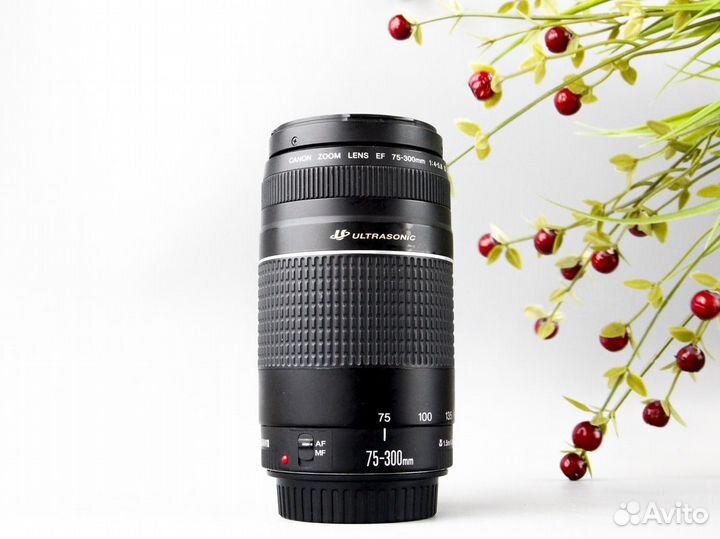 Объектив Canon EF 75-300mm f4-5.6 III