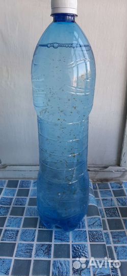 Лечебная грязь, Озеро карачи