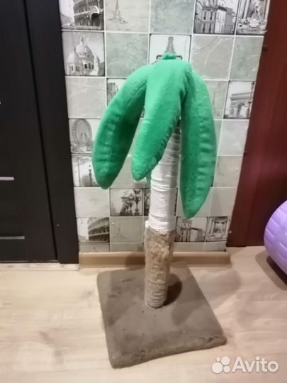 Когтеточка