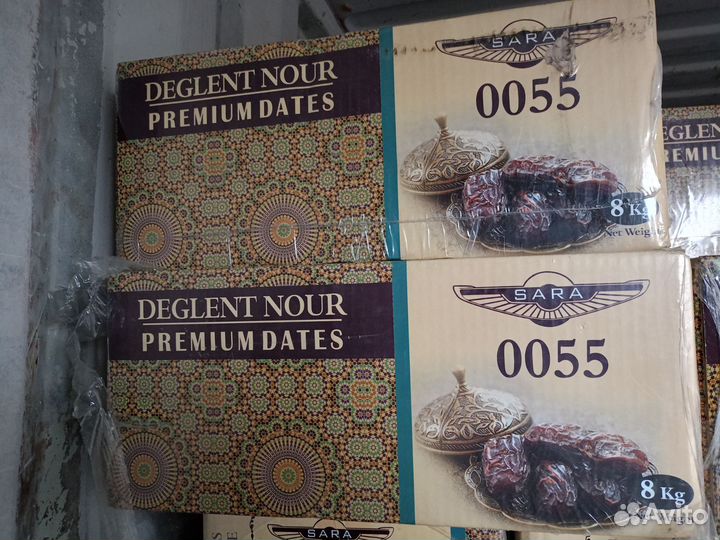 Финики иран