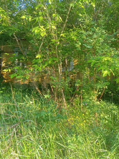 Дом 34,3 м² на участке 14 сот.