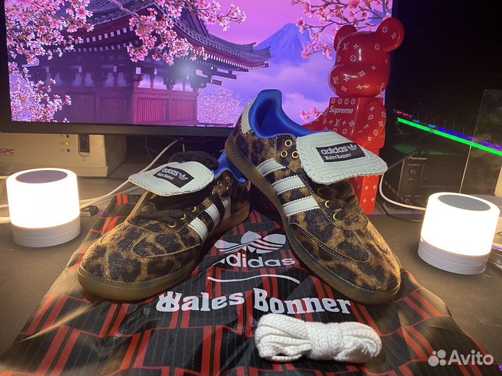 Adidas Samba Wales Bonner Leo