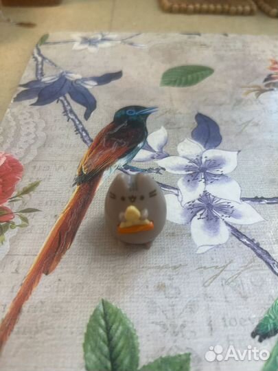 Коты Pusheen Пушин