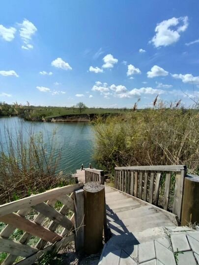 Дом 80 м² на участке 20 сот.