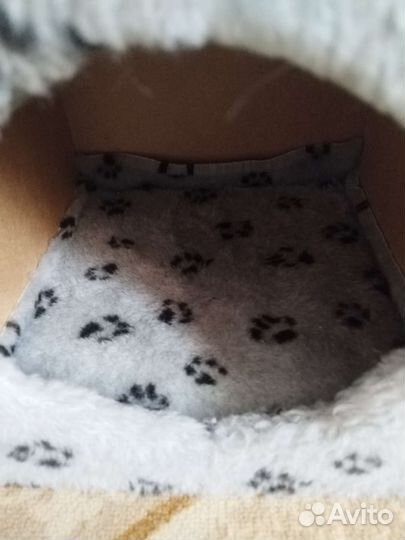 Домик для кошки с когтеточкой