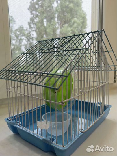 Клетка для грызунов маленькая
