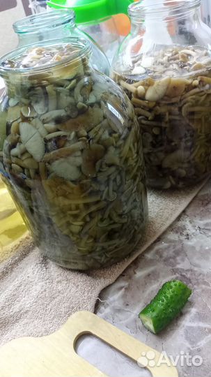 Грибы соленые, маринованные