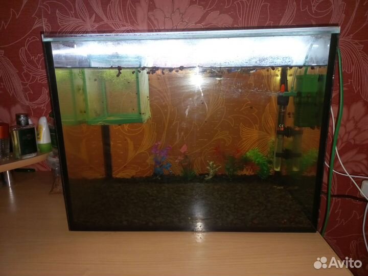 Аквариум
