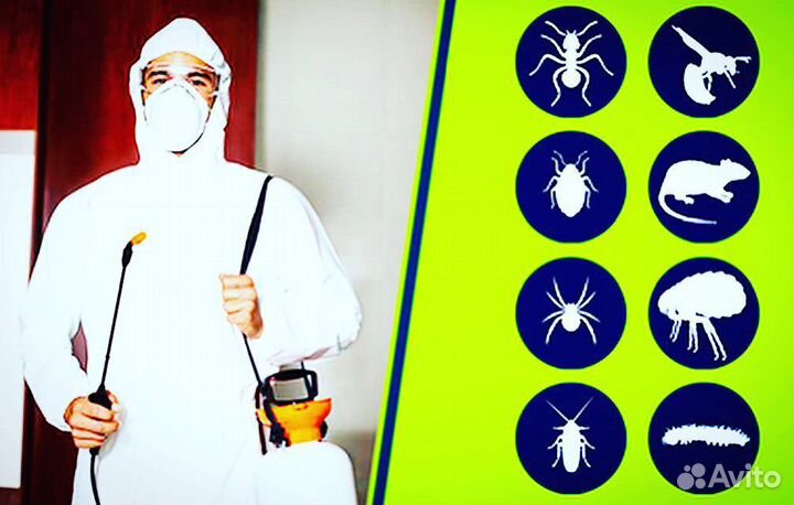 Уничтожение клопов тараканов и тд