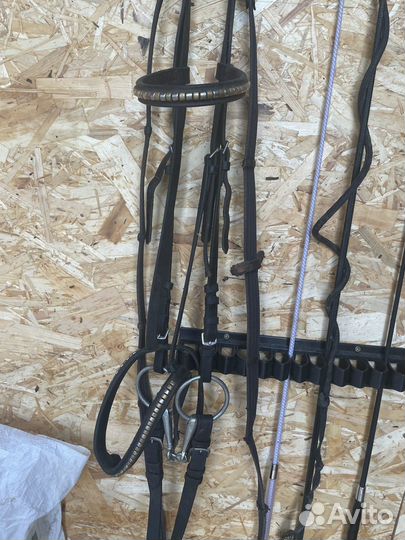 Конная амуниция