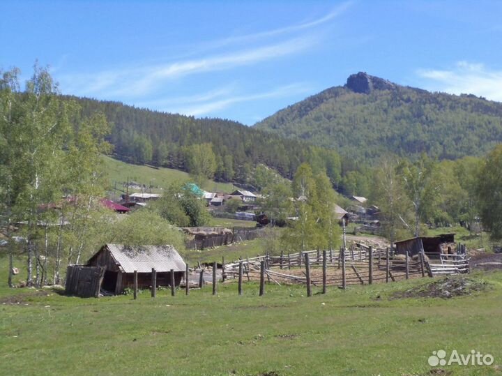 Туры по горному Алтаю