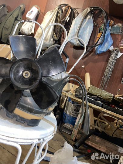 Ботинки гризли