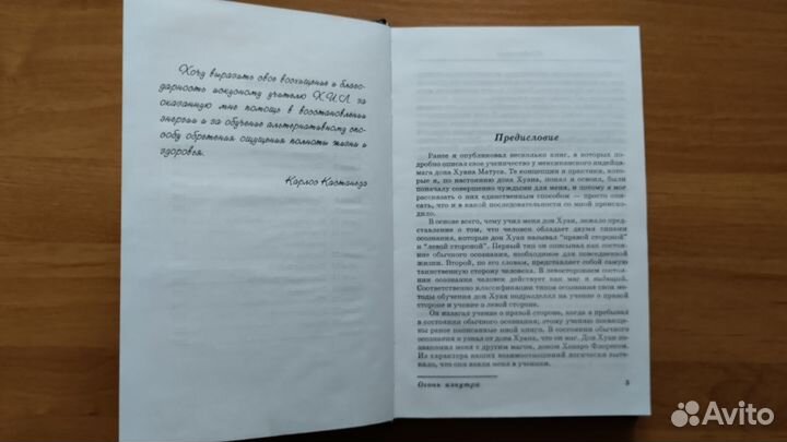 Карлос Кастанеда.Огонь изнутри