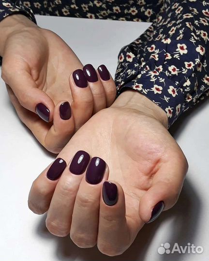 Знакомство с мастером