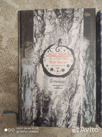 Среди эльфов и троллей, Журавлиные перья, Рама