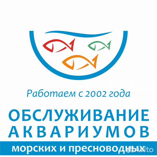 Обслуживание, дизайн аквариумов в Кирове и области