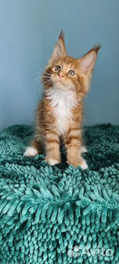 Яркое солнышко