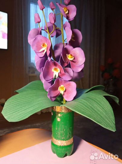 Орхидея дендробиум