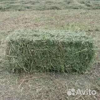 Солома в тюках(ячменная, пшеничная)