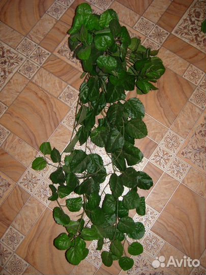 Искусственные лианы (разные)