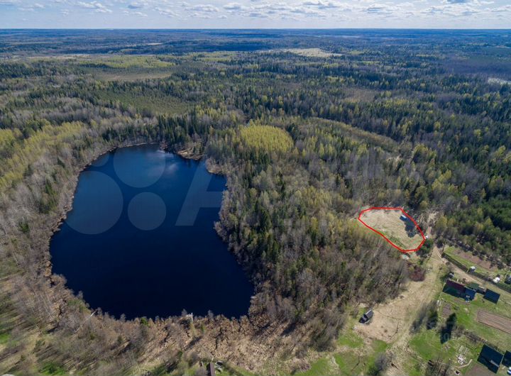 Участок 49 сот. (СНТ, ДНП)