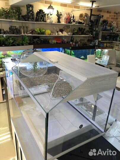 Аквариум - террариум
