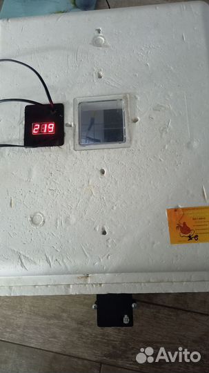 Инкубатор несушка