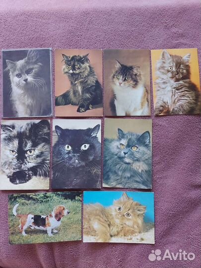 Открытки с животными