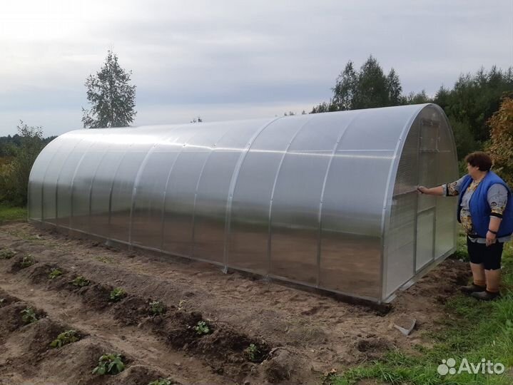 Теплица 6 метров