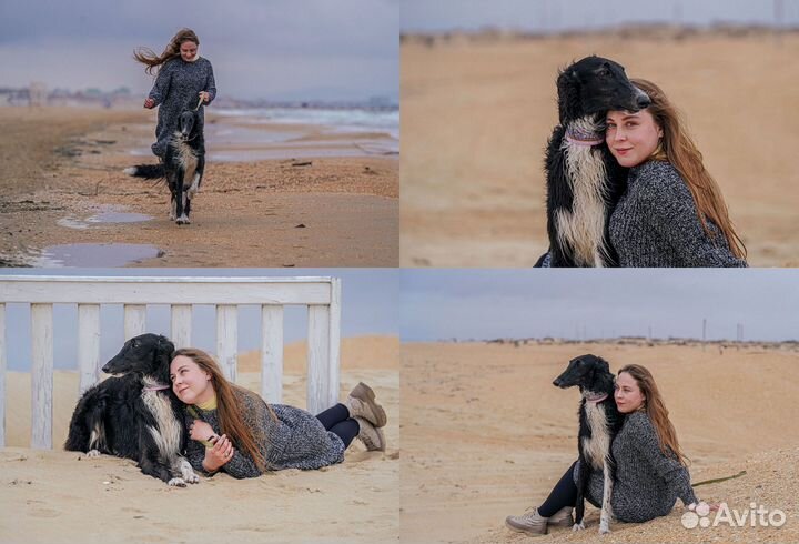 Фотограф анималист