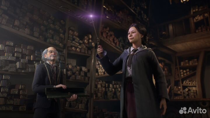 Игра Hogwarts Legacy (PS4) Русские субтитры (NEW)