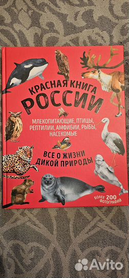 Красная книга России энциклопедия редких видов