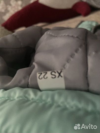 Вещи для маленьких собак