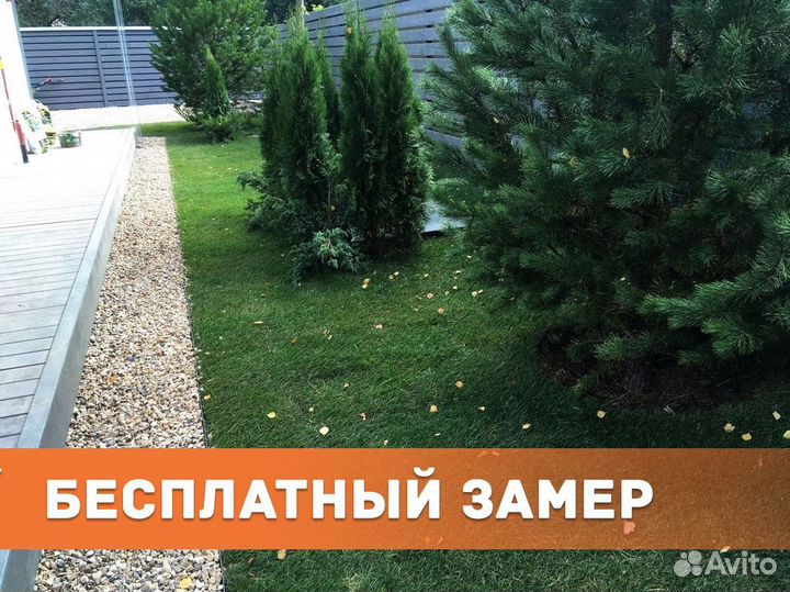 Рулонный газон с бесплатным замером
