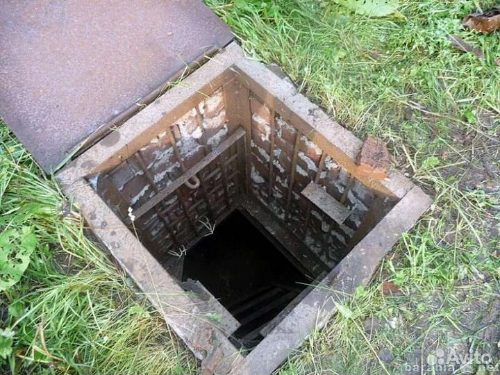 Аренда погреба Ветлужанка
