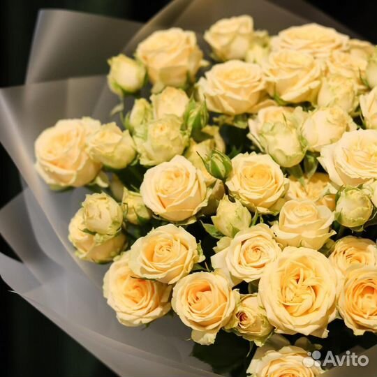 Кустовые розы кремовые цветы