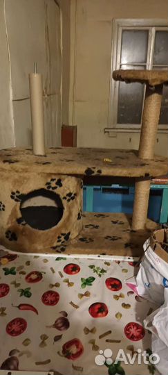 Кошачий домик