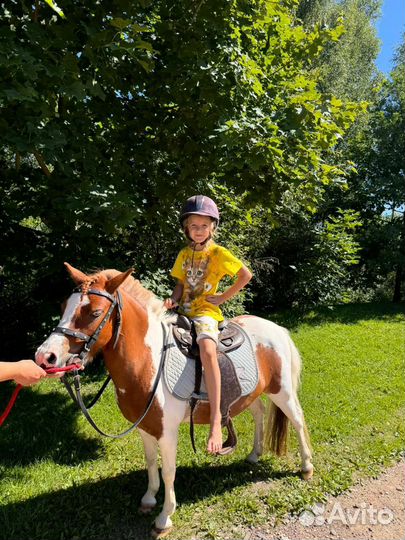 Обучение верховой езде, выезд на праздник