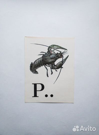 Азбука в картинках: листовое издание для школы