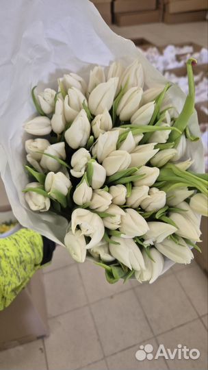Тюльпаны к 8 марта оптом
