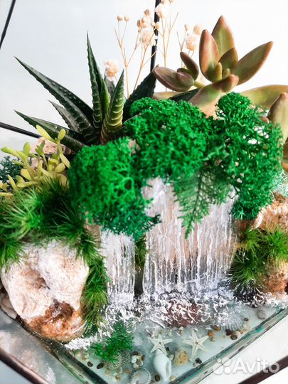 Флорариум с суккулентами Подарок Краснокамск