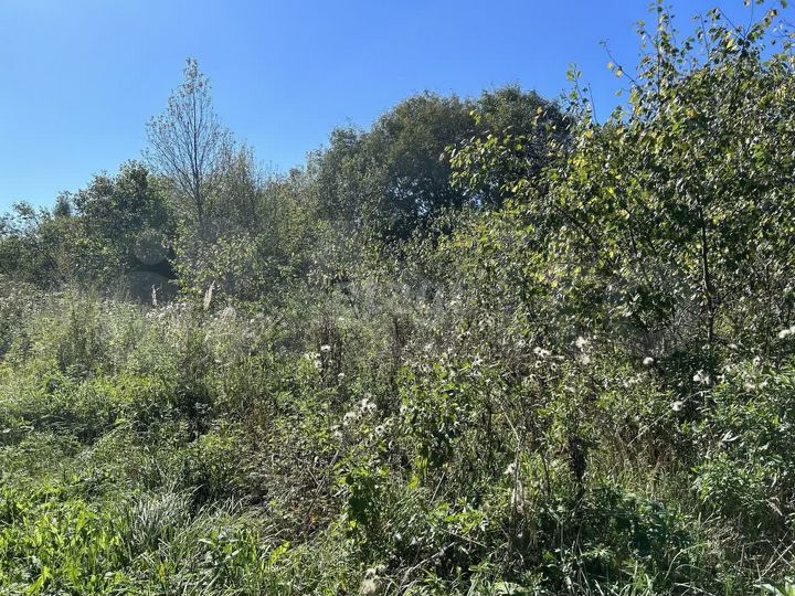 Участок 40 сот. (личное подсобное хозяйство (лпх))