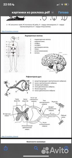 Егэ биология рохлов