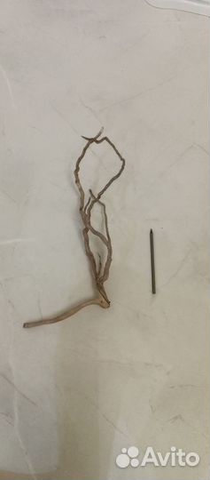 Коряги для террариума